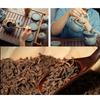 Banghai Pu'er Puerh Tè Maturo Confezione in Scatola Metallica Yunnan Foglie Grandi Tè per Ufficio Casa