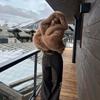 Cappotto Corto da Donna con Cappuccio in Eco Pelliccia di Volpe Invernale Streetwear Chic Capospalla Color Cammello