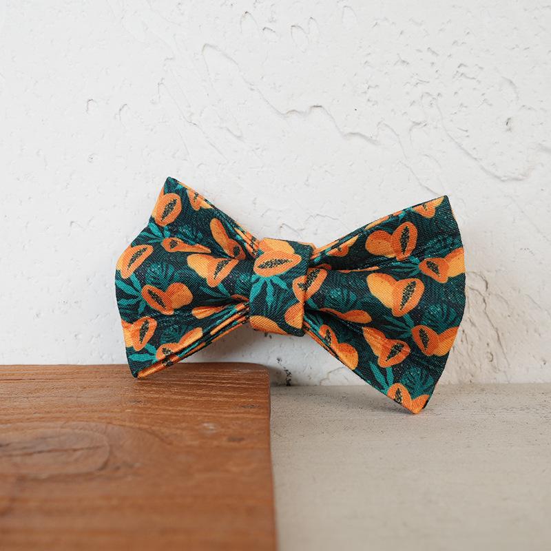 Engraveable Fresh Papaya Cat Collar - UCC-157H