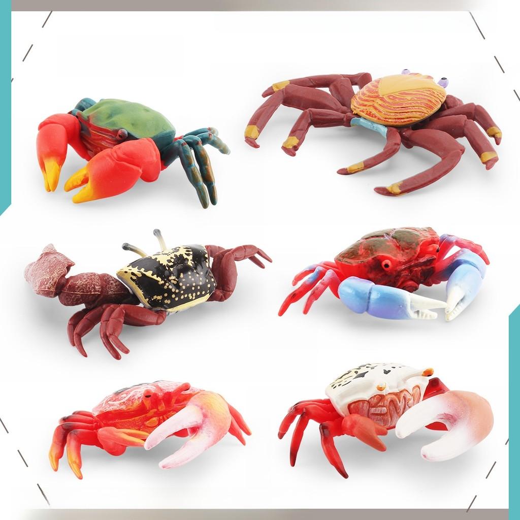 Pvc Fiddler Crab Collection Model Marine Animal Figurine For Aquarium Display And Gift