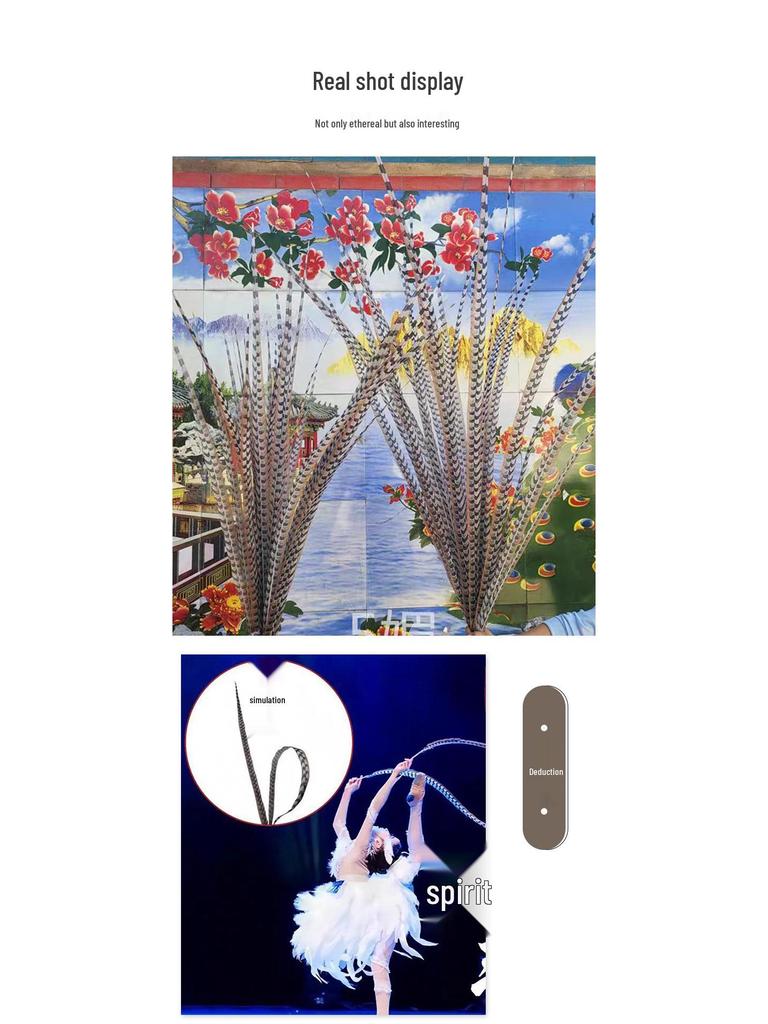 Sun Wukong Pheasant Feather Headdress - Peking Opera Props & Costumes