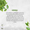 Sunny Herbals Henna Shampoo With Aloe Vera For Silky Soft Hair Tangle Free 150ml Pack Of 1