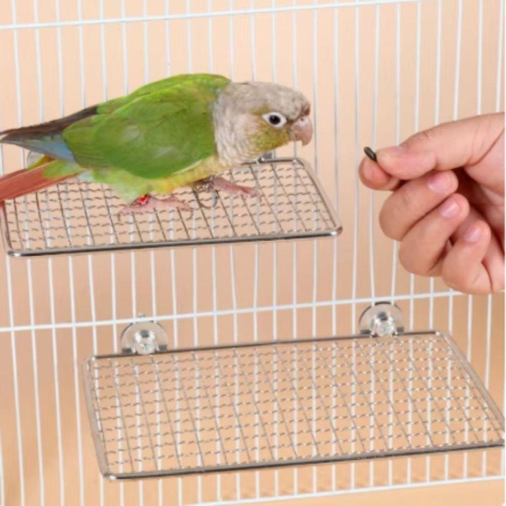 Rust-Resistant Stainless Steel Bird Perch Platform Moisture Proof Bird Rest Platform Glass Surface