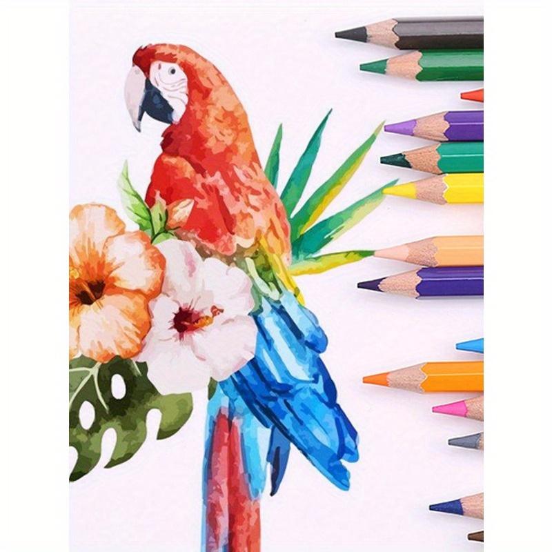 48 Colors (48pcs) HB Colored Pencils, Hexagonal Barrel, Art Supplies, 12 Colors - 48 Colors Available, Great Gift For Friends On Halloween