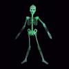 Premium Quality Luminous Hanging Human Skeleton Ideal For Halloween And Party Decor