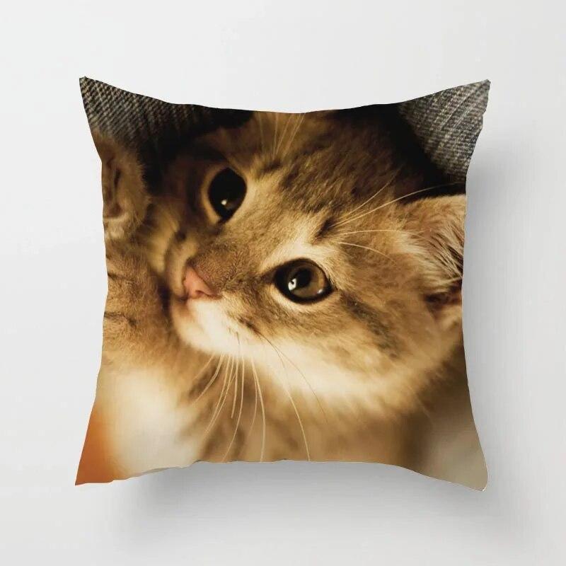 

Милый кот, диван, наволочка, наволочка, кровать, дом, гостиная, автомобиль, офис 40x40cm