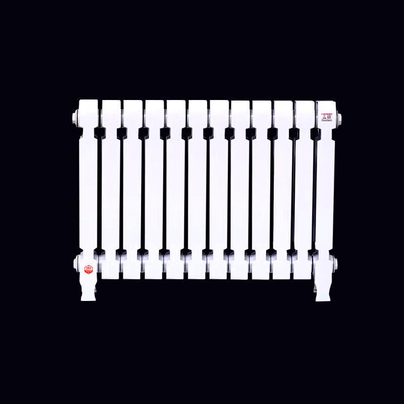 Lixing TZY2-6-8/62B Cast Iron Radiator