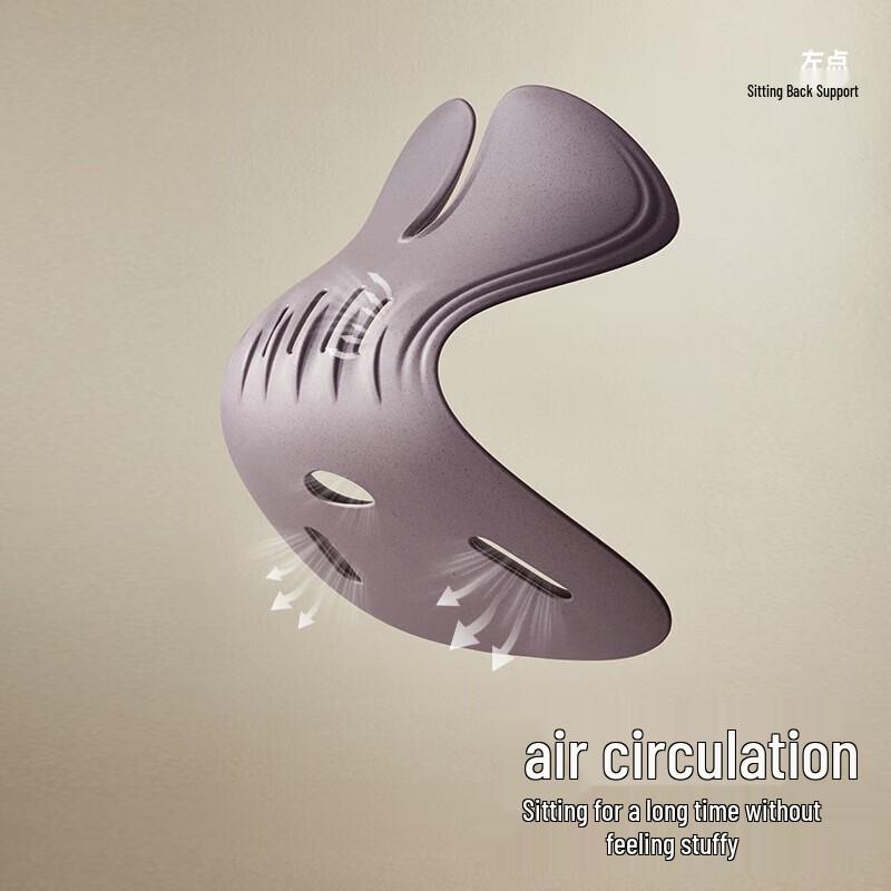 Zodian Ergonomic Lumbar Support Seat Cushion