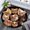 Chihuahua Hunde Runder Teppich, Teppich für Wohnzimmer Schlafzimmer Sofa Spielzimmer Dekor, Rutschfeste Bodenmatte