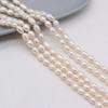 36cm Strand 5-6mm Natural Freshwater Rice Pearls Spacer Beads DIY Earring Necklace Bracelet Parts