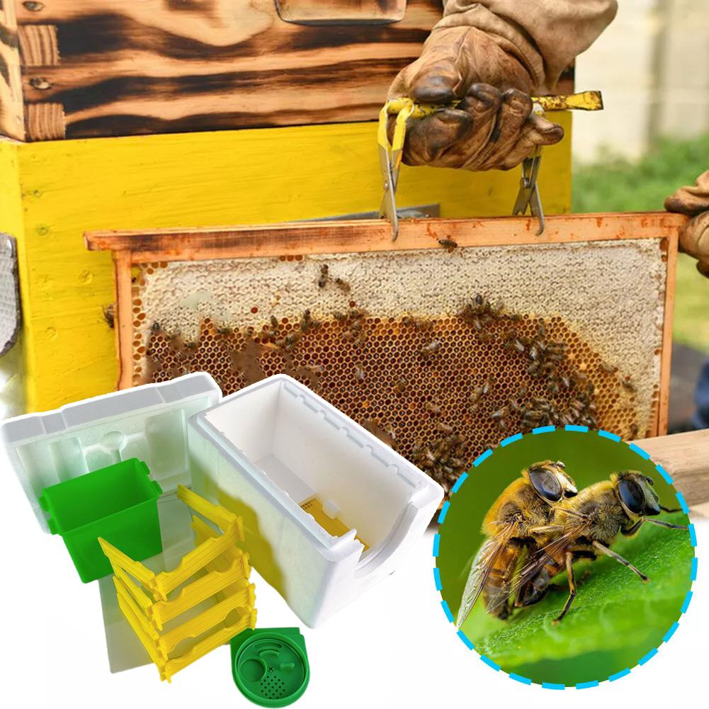 Mini Beehive Beekeeping Box Multi-Function Home Bee Boxes Bee Beekeeper Hive Hive Harvest Pollination Supplies Mating W0N5