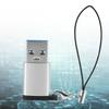 3Pcs USB3.0 to Type C3.1 Female Adapter Lanyard Electronic Transfer Connector(Silver +Lanyard )