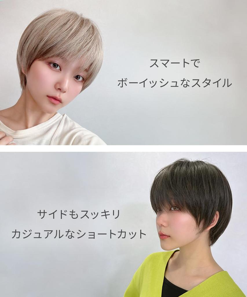 AQUADOLL Short Full Wig, Pudding Style, Black/Silver Hair, Boyish Style, Short Hair, One Size Fits Most, Medium, ABG. Ash Beige, wg316-M-ABG