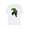 Hulk Womens/Ladies T-Shirt