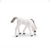 Wild Shire Horse Lipizzaner Pvc Model For Kids Educational Display