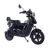 BEZIOR UB12 Electric Bicycle Motor 1500W Lead Battery 48V20Ah Range 45km Double Hydraulic Brake Remote Control LED Screen, Black