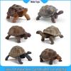 Children's Solid Galapagos Tortoise Simulation Toy Ornament