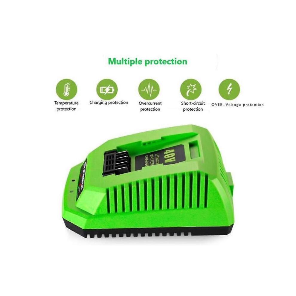 Caricabatterie al Litio 40V per GreenWorks 29482 G-MAX 40V - Batteria 29472 29482 29652 G40825 EU Pl