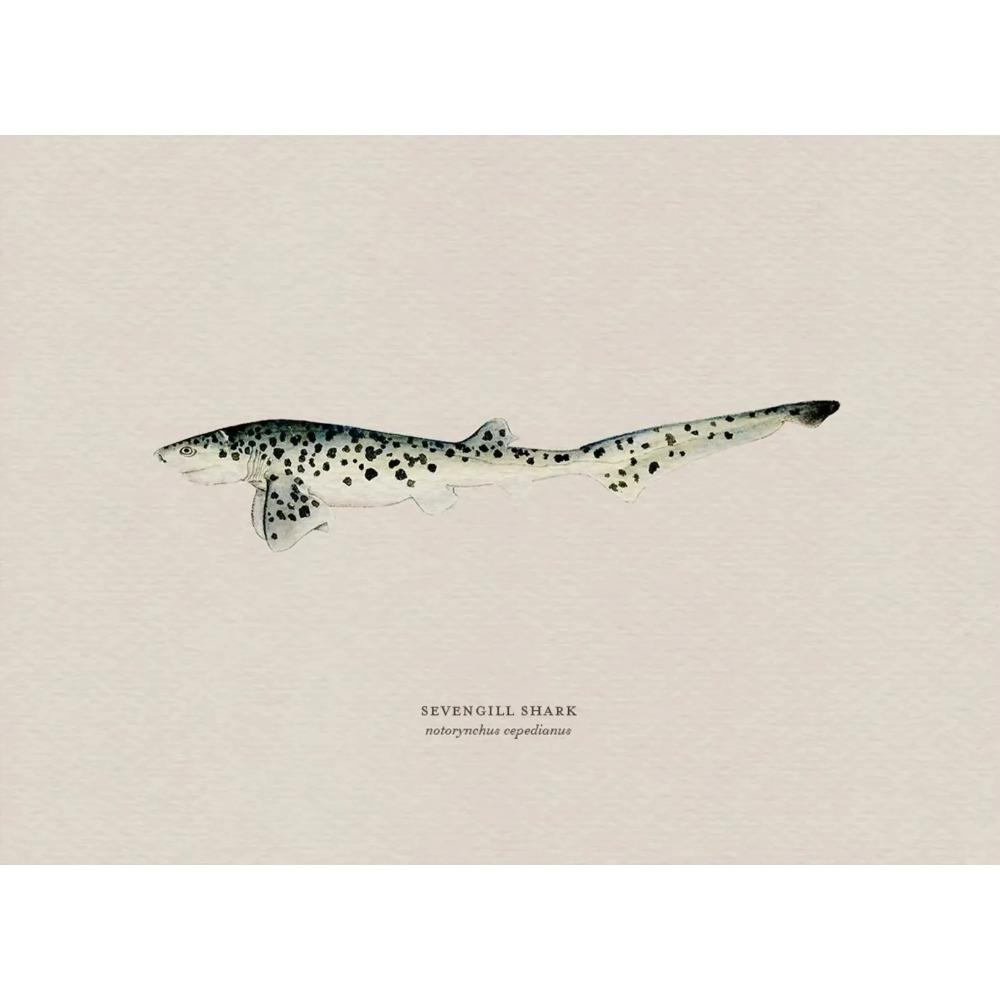 Vintage Bass Fish Trout Fly Fishing Posters Prints Canvas Painting Fisherman Retro Wall Art Picture for Living Room Home Decor