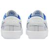 Nike Sb Blazer Low Pro Gt Premium Fine China Skateboard Shoes FZ1300-100
