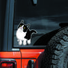 DS38#12.5x15cm Cute Cartoon Cat Car Stickers Waterproof Vinyl Decal For Truck Motorcycle Scooter Decals Auto Accessories