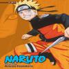Naruto 3in1 Edition Vol. 11 by Masashi Kishimoto Paperback Book 9781421573816