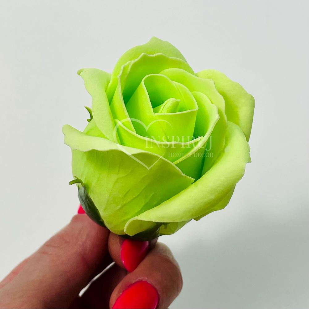 Soap Rose In a Light Green Color