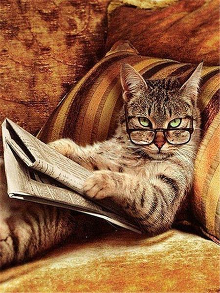 Diamond Painting Cat 5D DIY Diamond Embroidery Sale Cross Stitch Animals Rhinestones Mosaic Kit Home Decoration