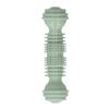 Dumbbell Shaped Dog Molar Stick TPR Made Puppy Teeth Cleaning Toy  Interactive Training