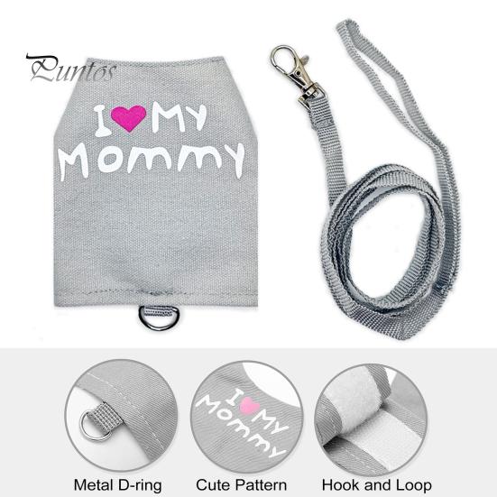 Lizard Reptile Leash Harness Set Adjustable Small Animal Harness with Traction Rope for Bearded Dragon Chameleons Outdoor Walking