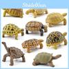Tortoise Enchanting Pvc Model For Kids Encouraging Learning With Realistic Amphibious Design