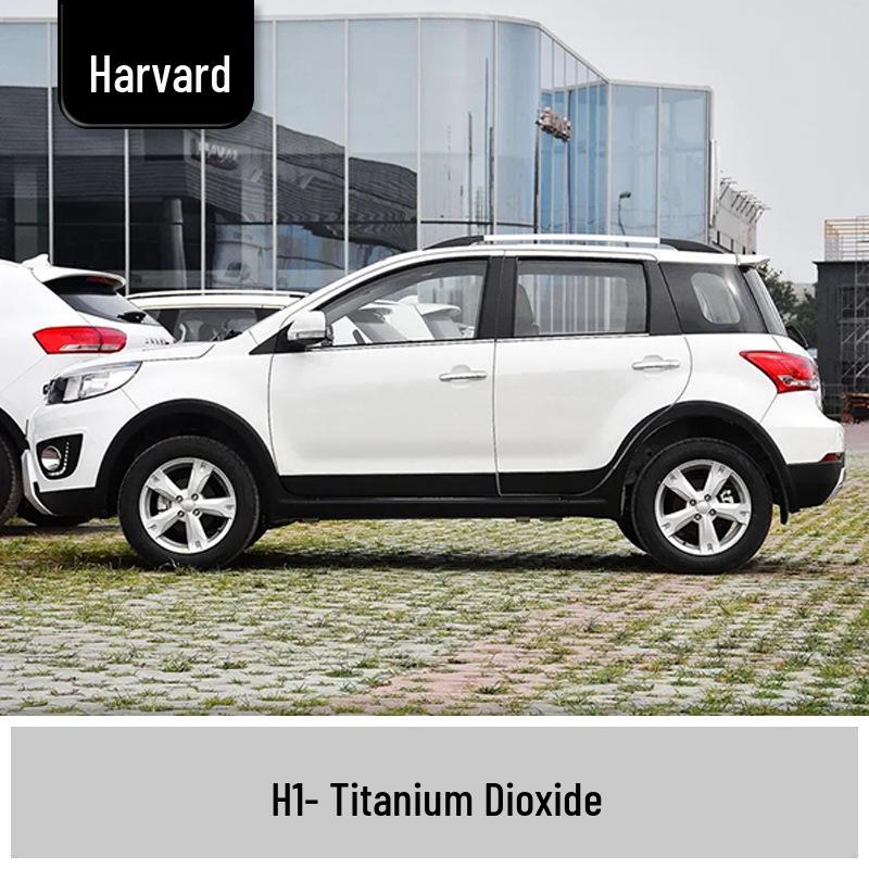 Haval H1/H2 Scratch Repair Pen - White/Black Touch-Up Paint