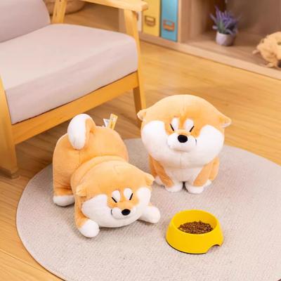 Internet Celebrity New Cute Achai Wolfberry Plush Toy Shiba Dog Doll Children's Birthday Gift Sleeping Doll