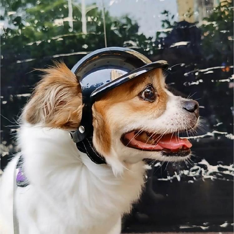 Motorcycle Dog Helmet Cover Pet helmet Dog Helmet with Ear Hole Puppy Helmet