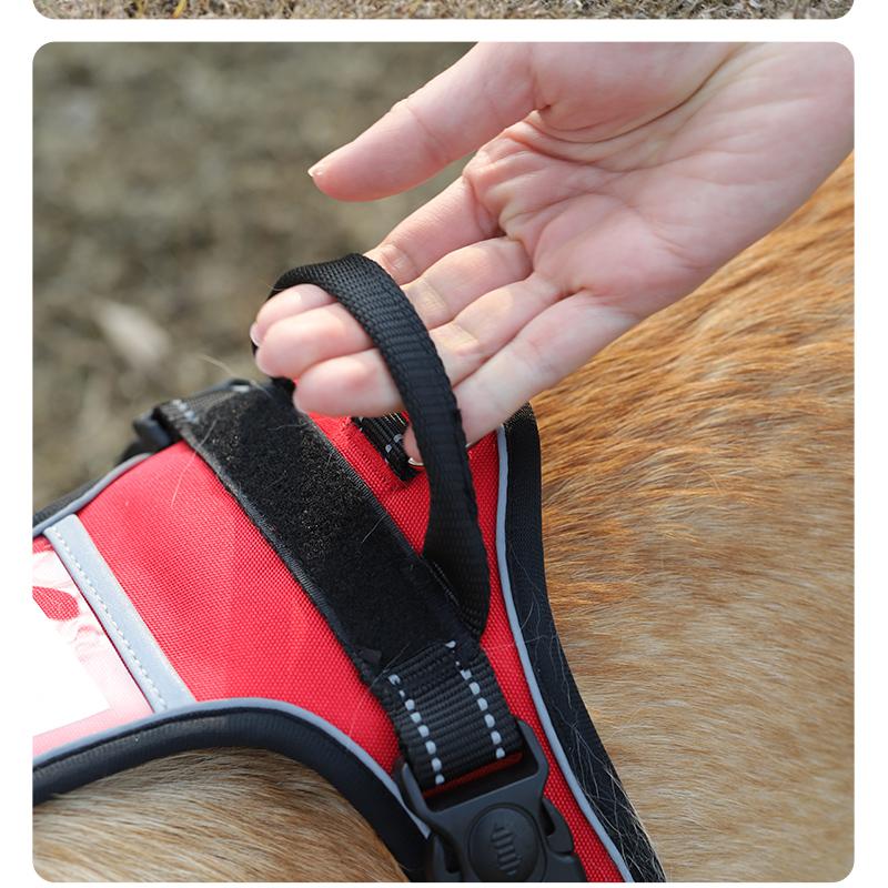 HOOPET Dog Chest Belt Vest Dog Leash Dog Chain Walking Medium Large Dog Golden Retriever Labrador Large Dog Leash