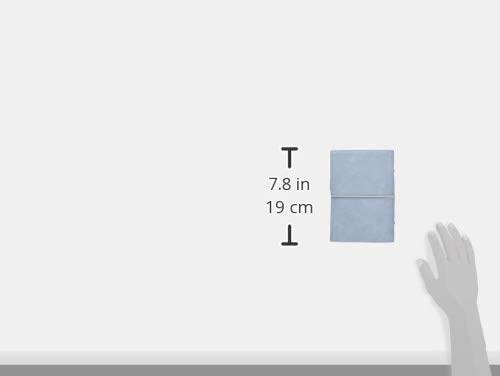 Filofax Domino Bible Size Planner, Pearl Blue, 022578 (Genuine Imported Product)