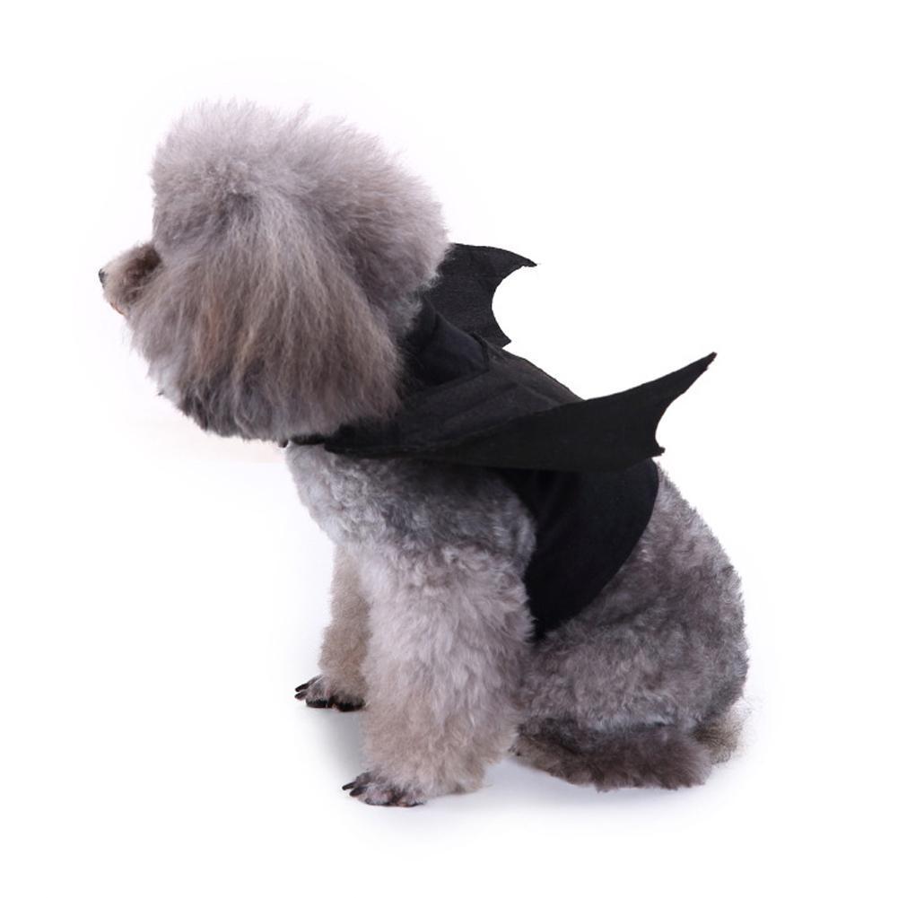 1 Stück Schwarzes Fledermaus-Haustierkostüm Mit Flügeln Niedliche Katzenkleidung Für Halloween-Party Cosplay-Outfit Für Hunde Bequem Leicht zu Tragen