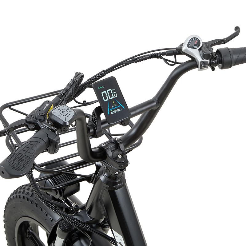 BURCHDA Elektrické kolo U8 1000W, 48V 31,5Ah Baterie, 20" Tlusté Pneumatiky Všeprostorový Sněžný E-bike s Hydraulickými Brzdami