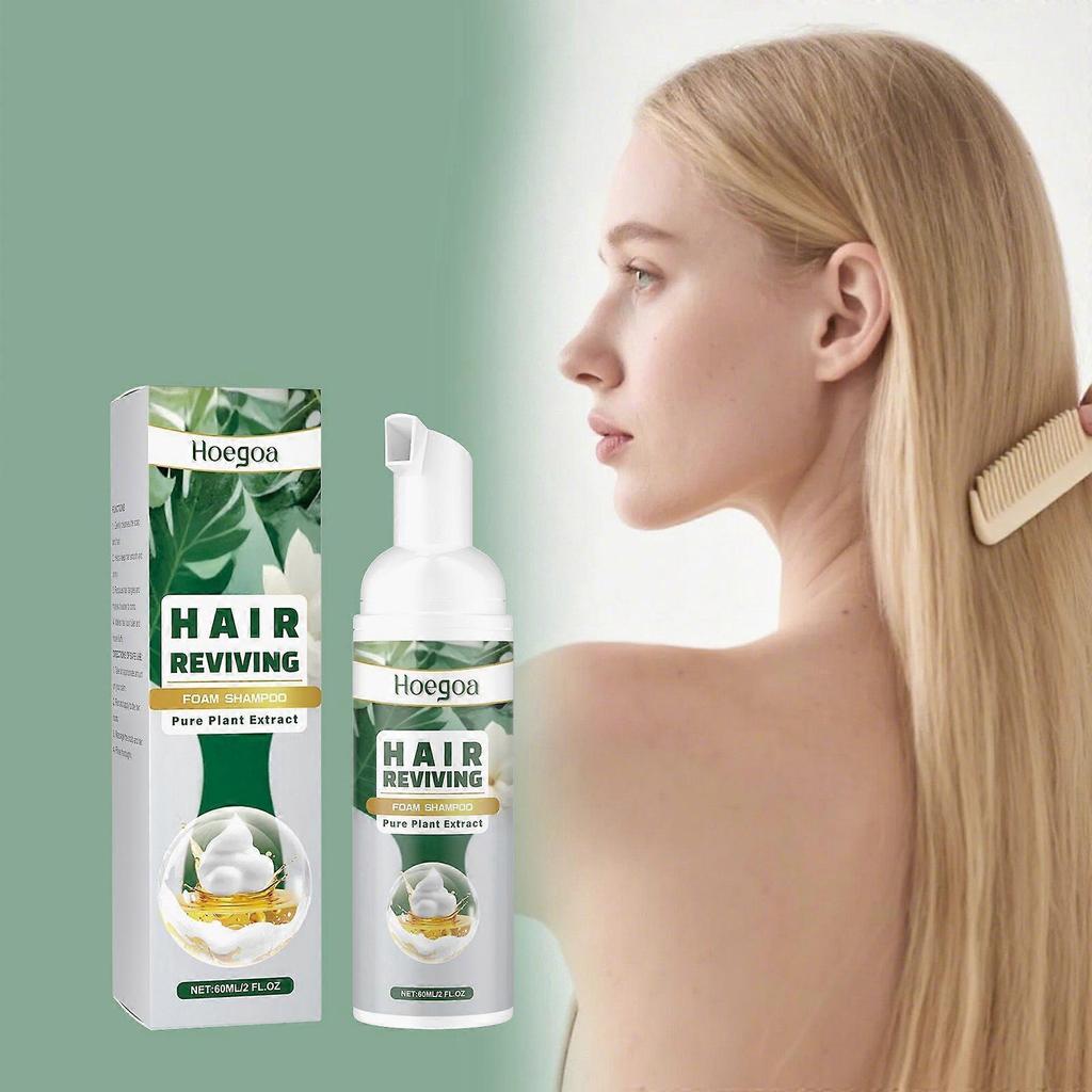 Hoegoa Botanical Foam Shampoo Volumizing And Texturizing, Gentle Cleansing, Smooth, Full, And Moisturizing Shampoo
