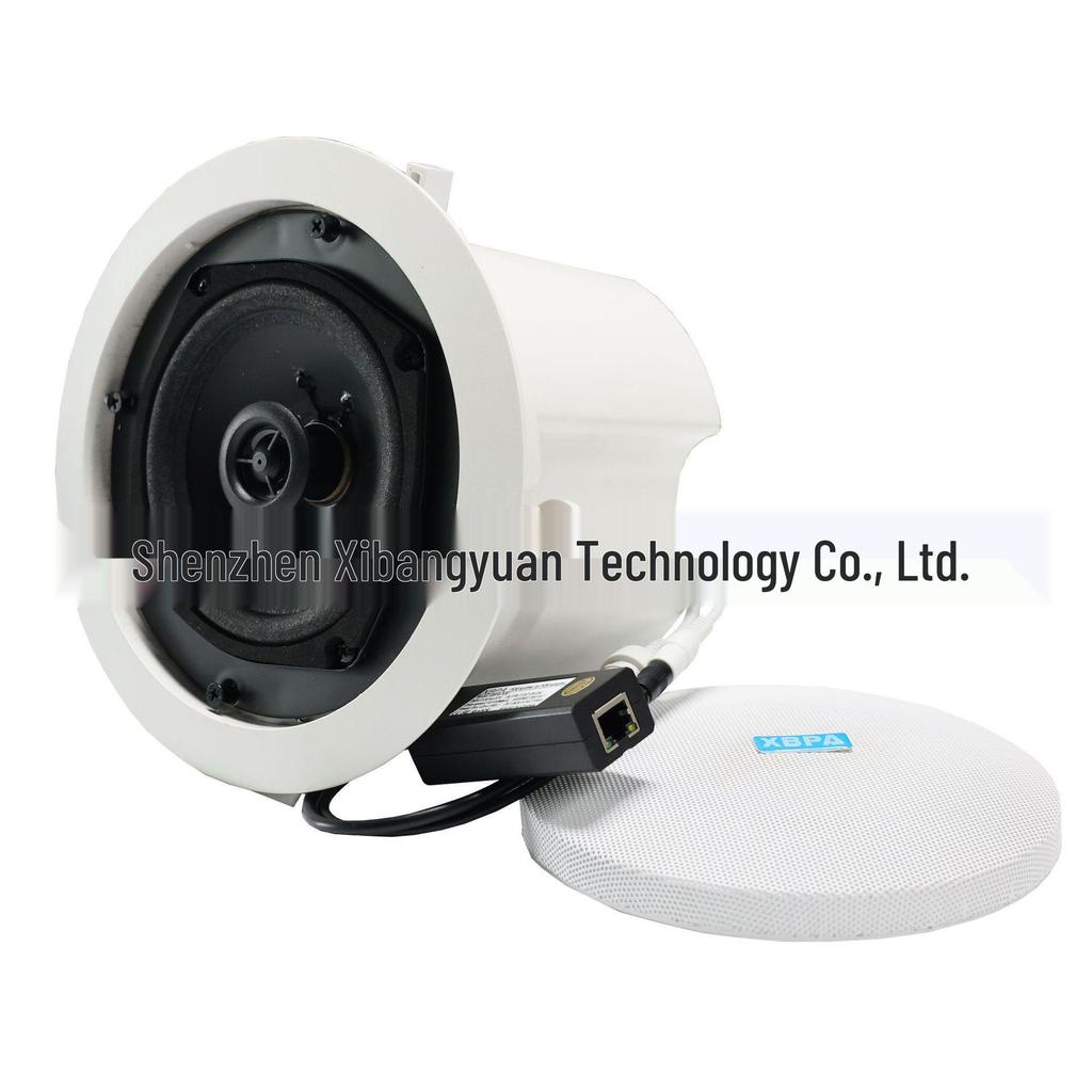 POE-Powered Ceiling IP Speaker / Embedded Audio Speaker / Horn Ceiling Installation