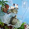 Transparent Tortoise Climbing Basking Platform  Aquatic Turtles Terrace