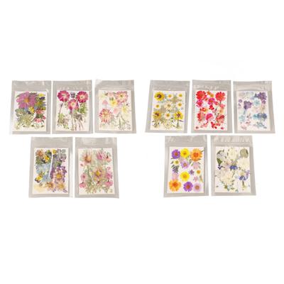 5 Bolsas de Flores Prensadas Estilos Variados Detalles Ricos Vibrantes Flores Secas Multicolor de Uso Múltiple para