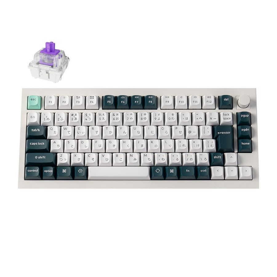 Q1 HE QMK Sans Fil Personnalisé Effet Hall Gateron Double Rail Magnétique Rapide RVB Échange à Chaud Compatible Windows Linux Shell [] Clavier Keychron, Commutateur,