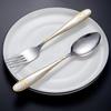 Stainless Steel Feather Pattern Spoon & Fork Set for Western Food
