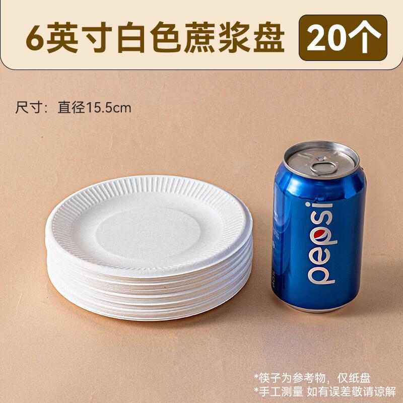 

Disposable Sugarcane Pulp Plates