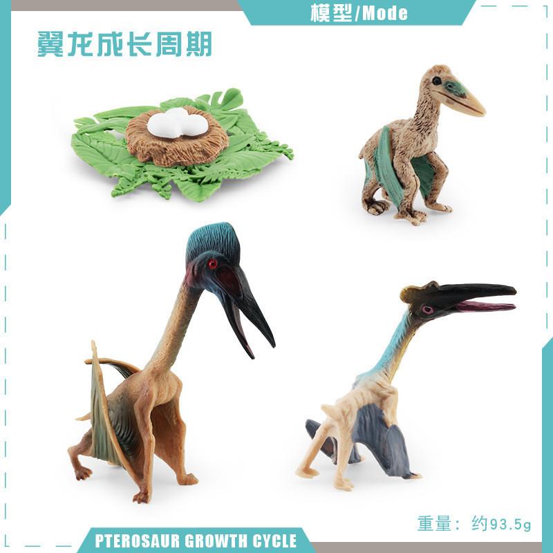 Realistic Jurassic Dinosaur Growth Cycle Model For Educational And Decorative Purposes