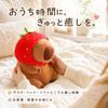 Hyack Capybara Plush Toy - 23cm [Parallel Import] - A Perfect Gift! (Capybara Plush Toy, Body Pillow, Stuffed Animal)