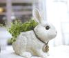 Kishima Rabbits Farm Planter (S)