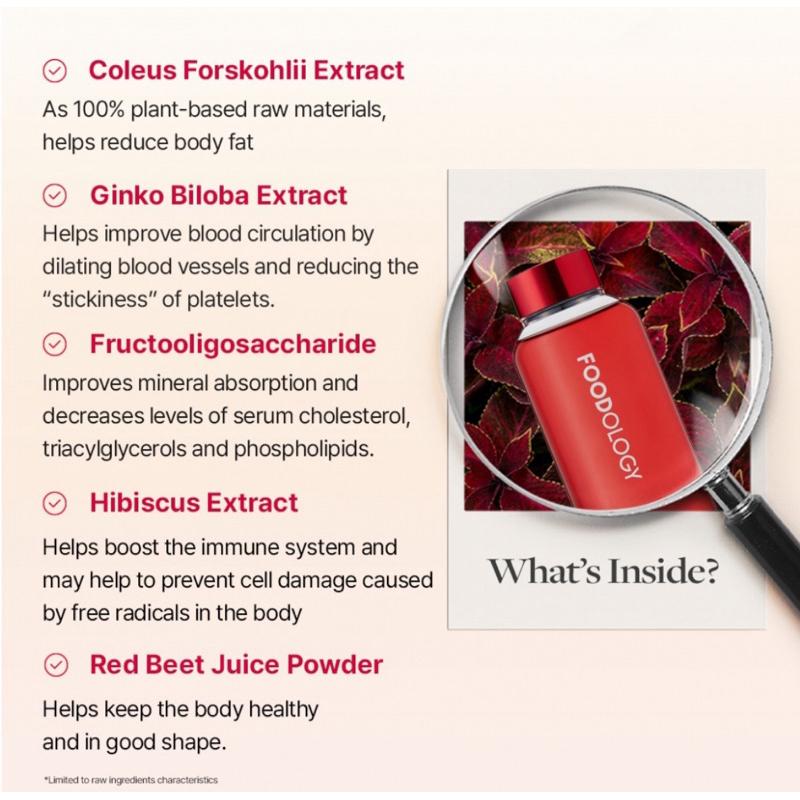 Foodology Coleology Tea Hobby Escape 120g(8g x 15ea)