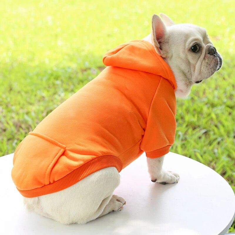 Modische Hundebekleidung Herbst und Winter Kleine Haustierkleidung Verdickend Warm Einfarbig Zweibeinig Kapuzenpullover Lässige Haustierprodukte